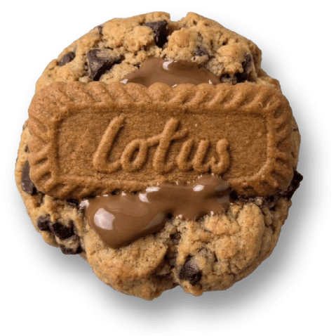 LOTUS Caramel